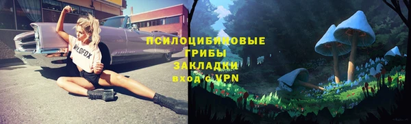 не бодяженный Верхний Тагил