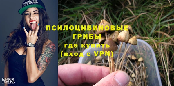 не бодяженный Верхний Тагил