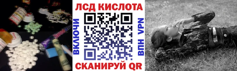 LSD-25 экстази ecstasy  блэк спрут как войти  Канаш 