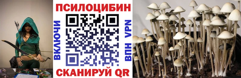 shop формула  Канаш  Галлюциногенные грибы MAGIC MUSHROOMS 